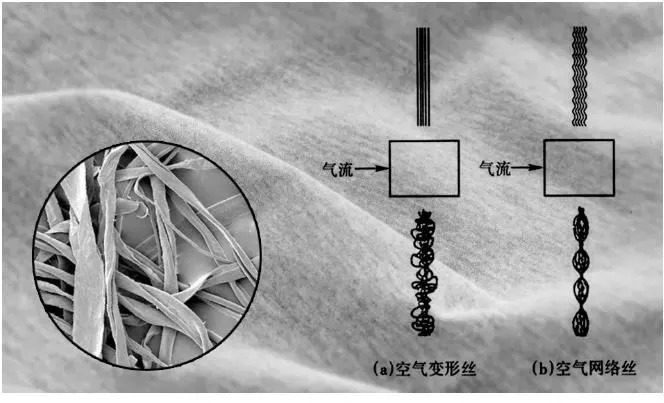 36020210630101520811 36020210630101520811