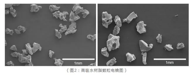 36020210923125212878