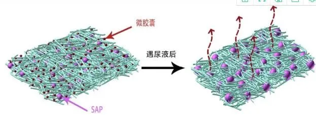 36020210923125427142