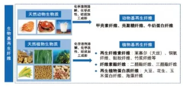 36020211217145230037