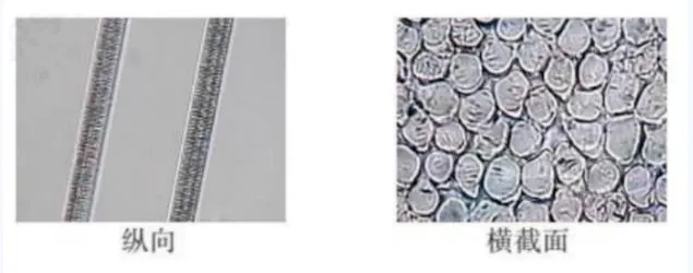 36020230406101802781 36020230406101802781