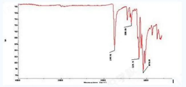 36020230406101231560 36020230406101231560